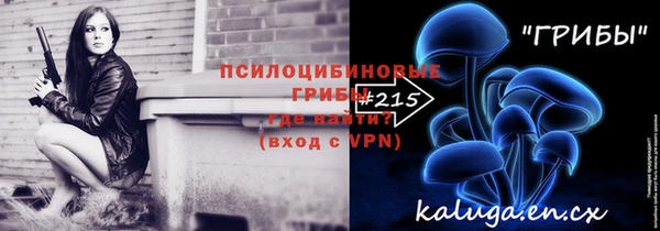 стафф Дмитров