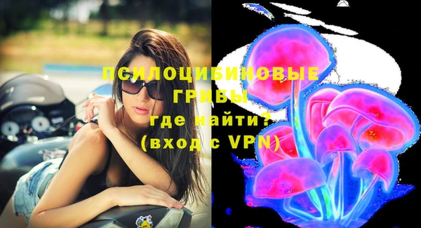 стафф Дмитров