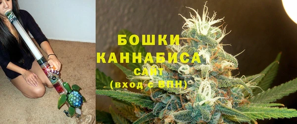 стафф Дмитров