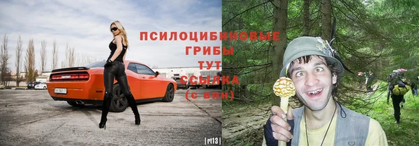 стафф Дмитров