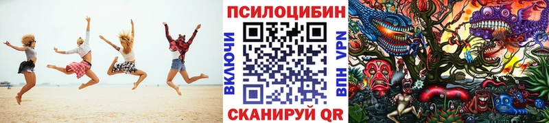 МЕГА ССЫЛКА  Данков  Псилоцибиновые грибы Psilocybe 
