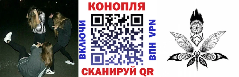Каннабис White Widow Данков